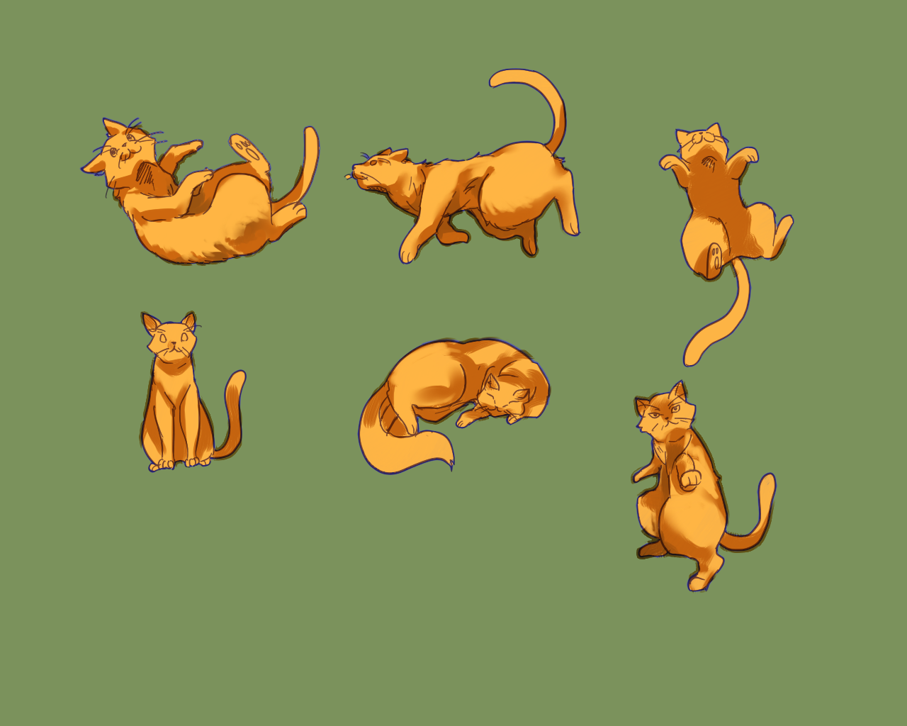 Expressive art of cats